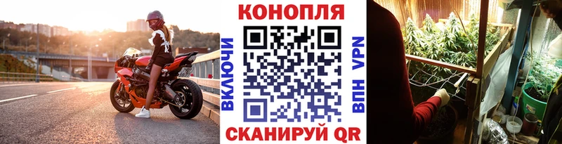 закладка  Озёрск  гидра как зайти  Бошки Шишки план 